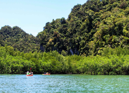 Kayaking One Full Day Tour at Thalane Bay