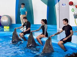 Dolphinarium