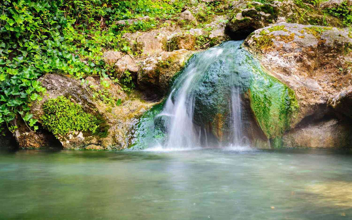 Emerald Pool and Hot Spring