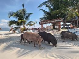 Koh Madsum or Pig Island.