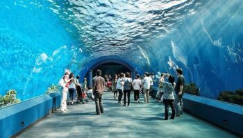 Visit to the Underwaterworld