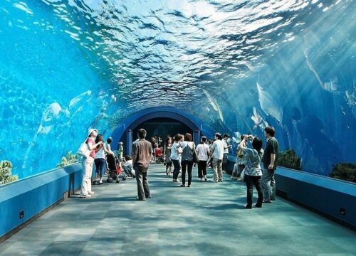 Pattaya Underwater World