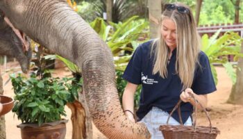 elephant lunch