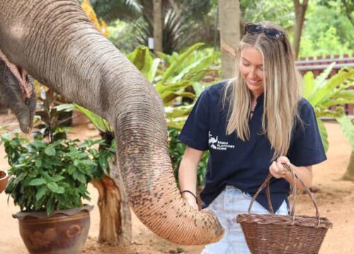 Elephant Mud Spa