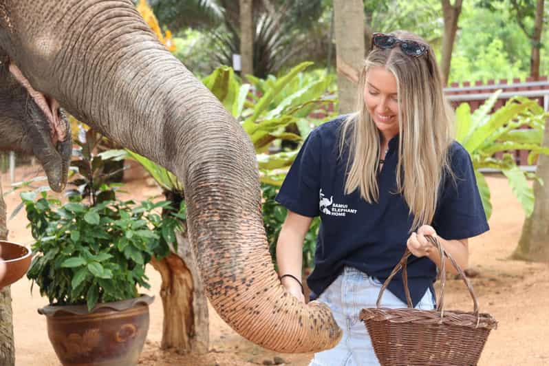 Elephant Mud Spa