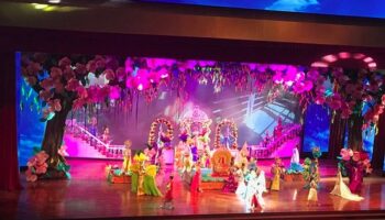 thai-cultural-show-5